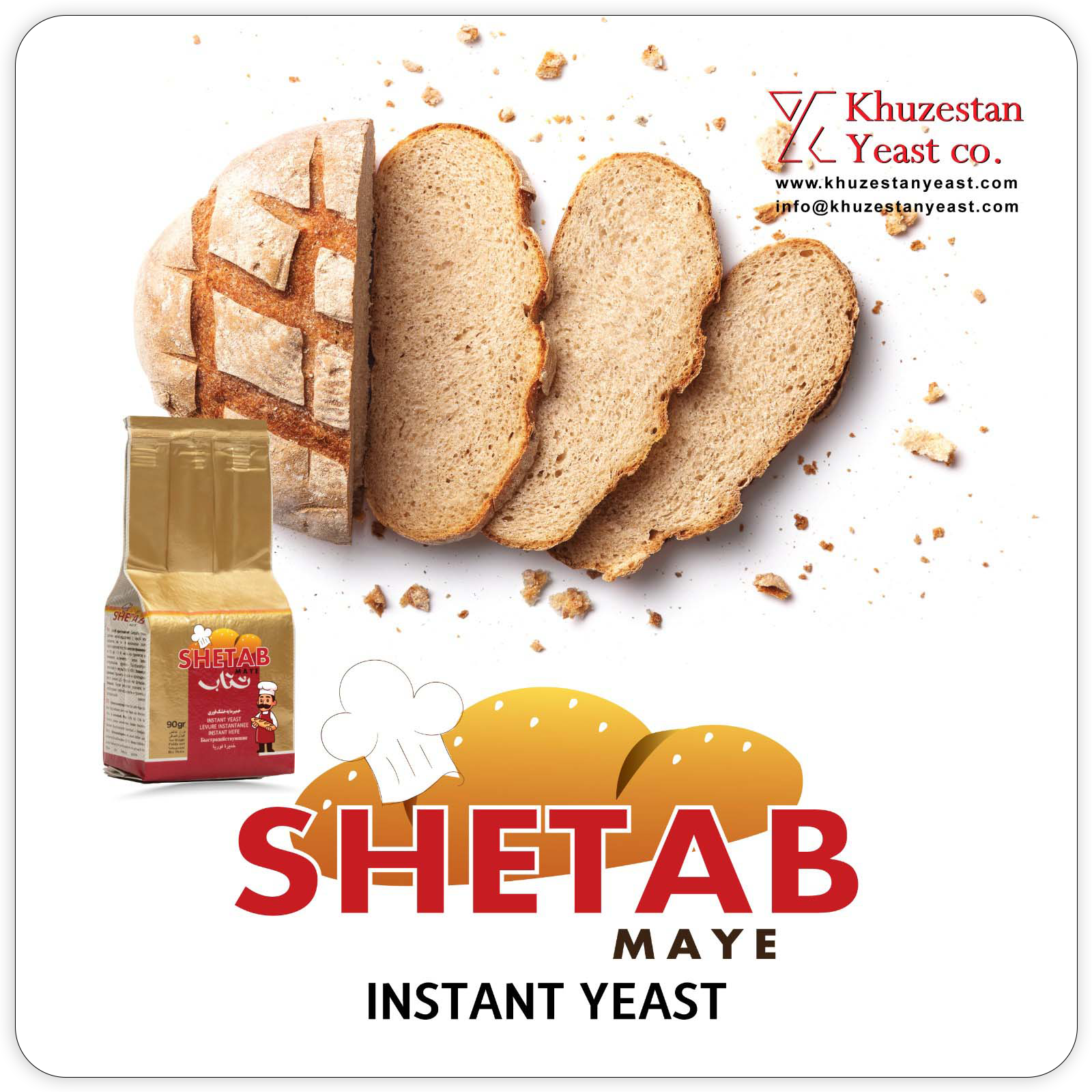 خمیر مایه شتاب مایه