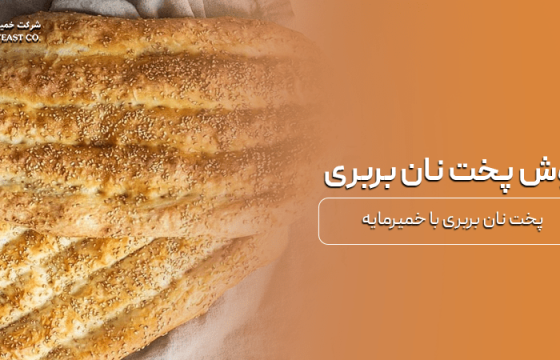 مقایسه عملکرد انواع خمیرمایه در پخت محصولات مختلف